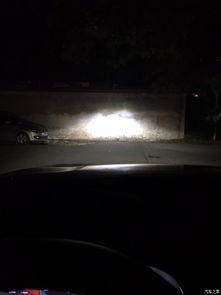 国产卤素灯视频