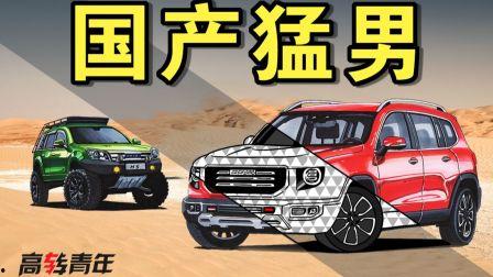 国产车泥地视频大全集,极限性能与越野魅力的完美展现