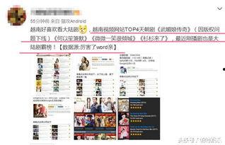 国产大陆视频网站,探索国产大陆视频网站的崛起与魅力